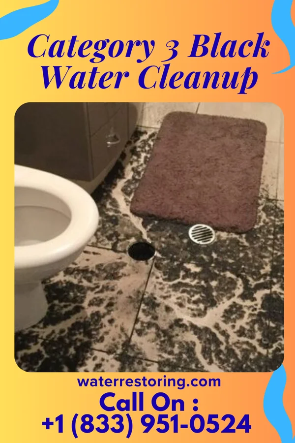 Category 3 Black Water Cleanup in Bellville, OH