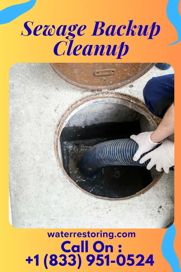 Sewage Backup Cleanup in Bellville, OH