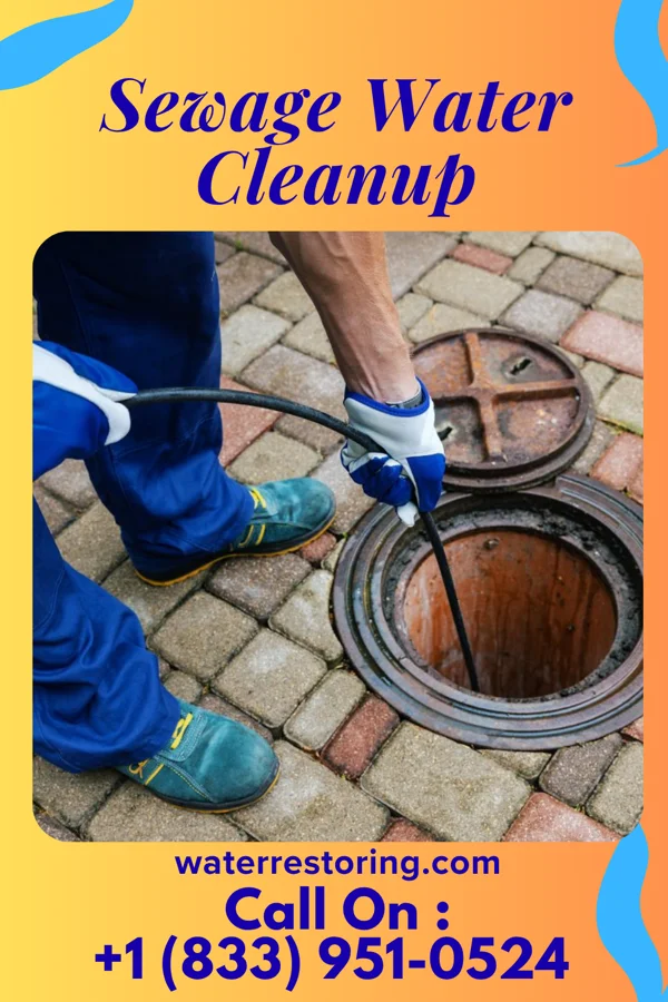 Sewage Water Cleanup in Bellville, OH